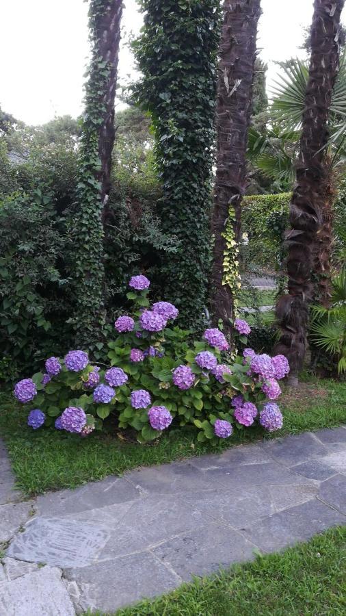 קנוביו Residence Villa Margherita מראה חיצוני תמונה